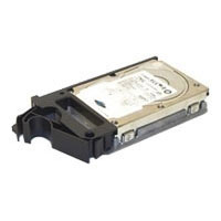 Origin storage 300GB 10000rpm PE *900/R Series 3.5 SAS (DELL-300SAS/10-S6) Origin storage 300GB 10000rpm PE *900/R Series 3.5 SAS (DELL-300SAS/10-S6)